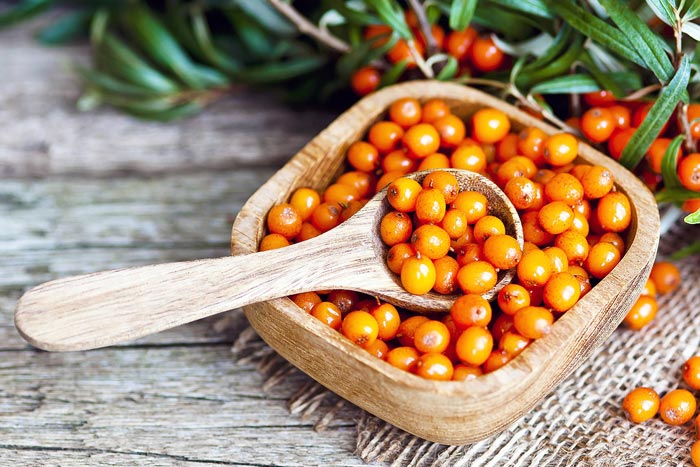 Чем полезна облепиха