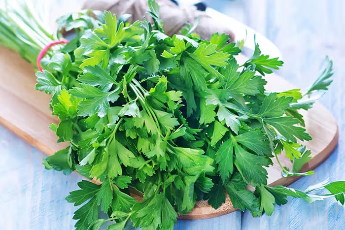 Чем полезна петрушка